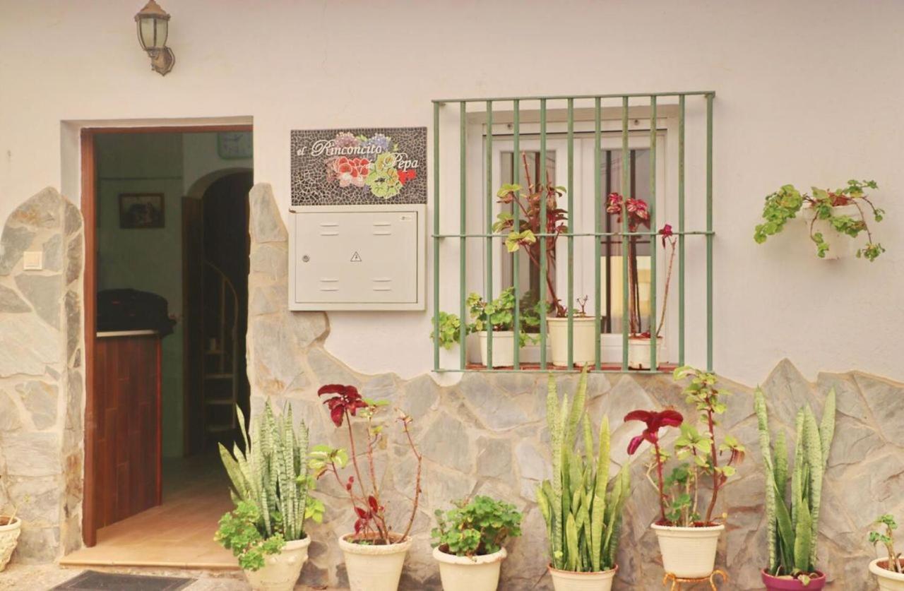 Apartamento El Rinconcito De Pepa II Conil De La Frontera Exterior foto